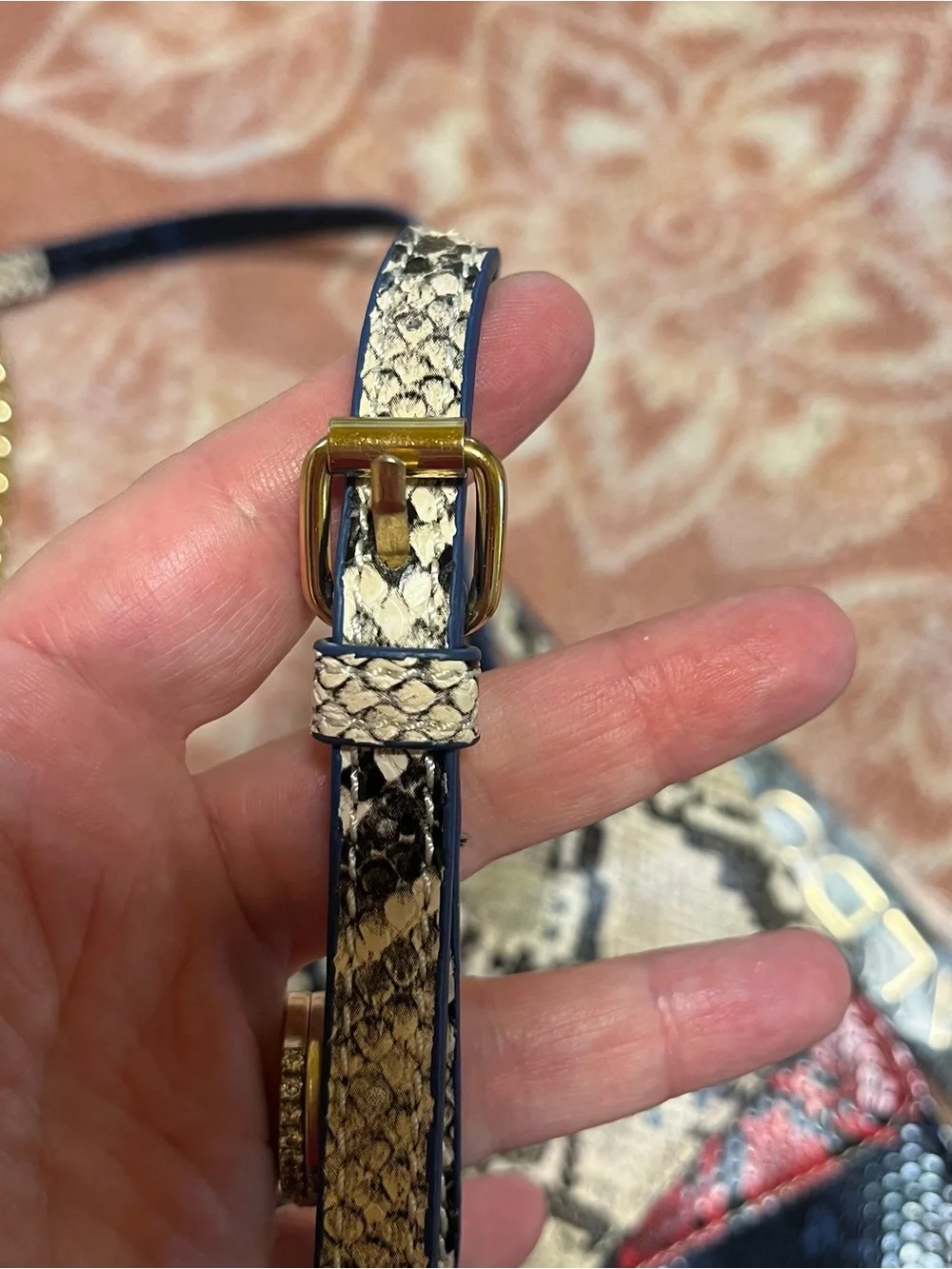 Aldo bisegna460 crossbody